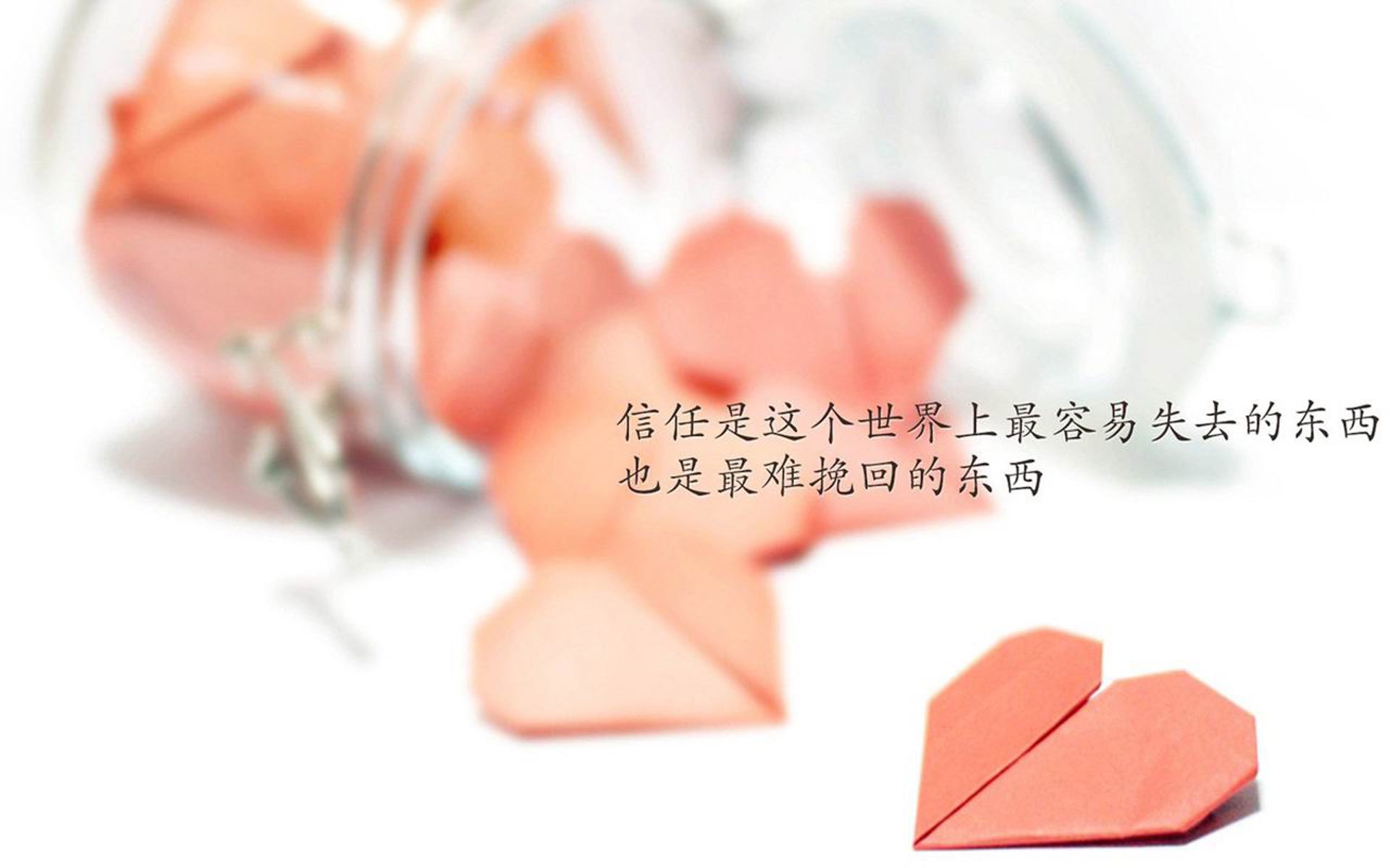 北上电视剧演员表陈睿是谁扮演的（小说北上人物关系）